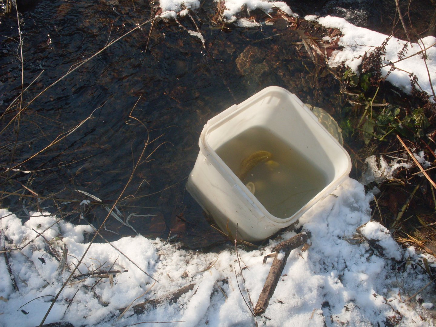SDC10552.JPG