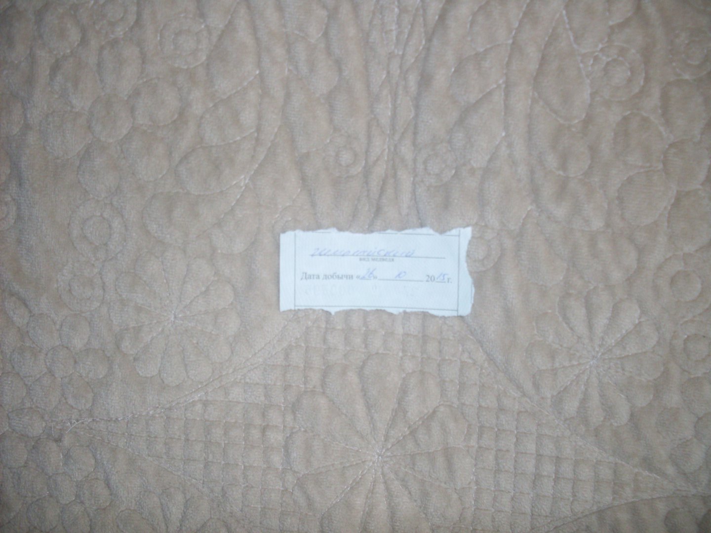 SDC10555.JPG