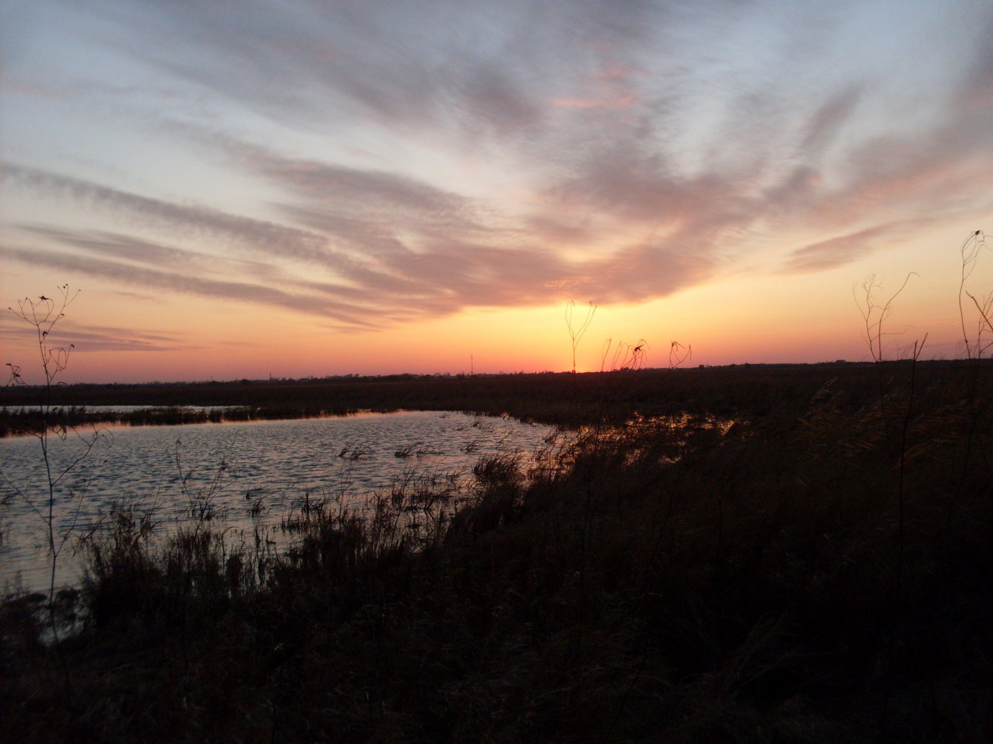 SDC10840.JPG