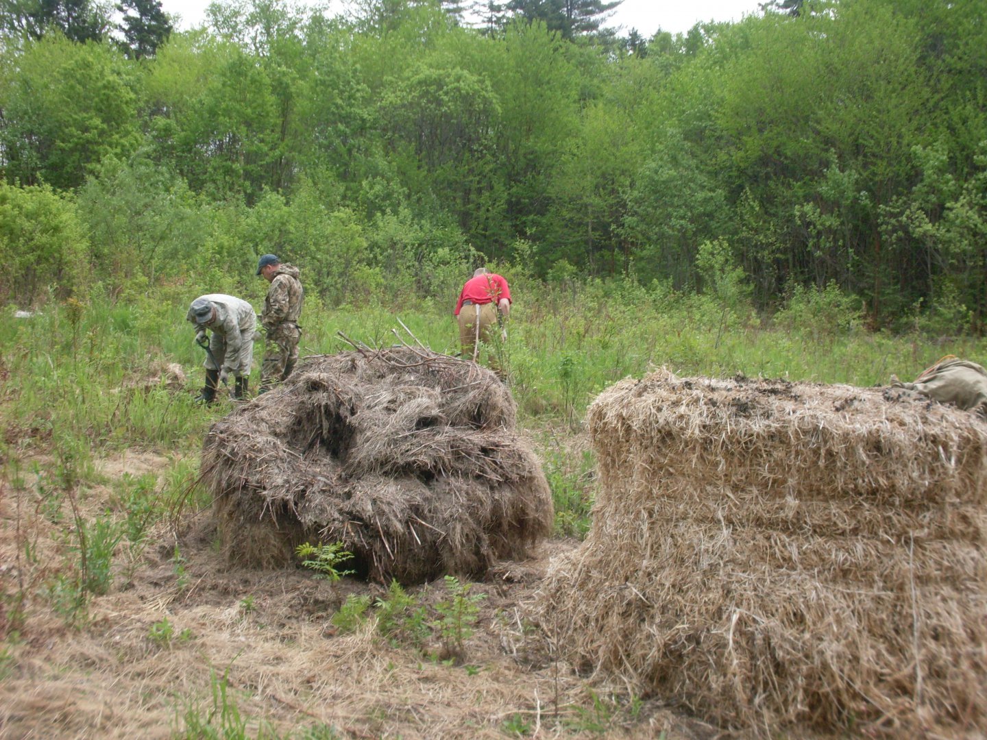 SDC11279.JPG