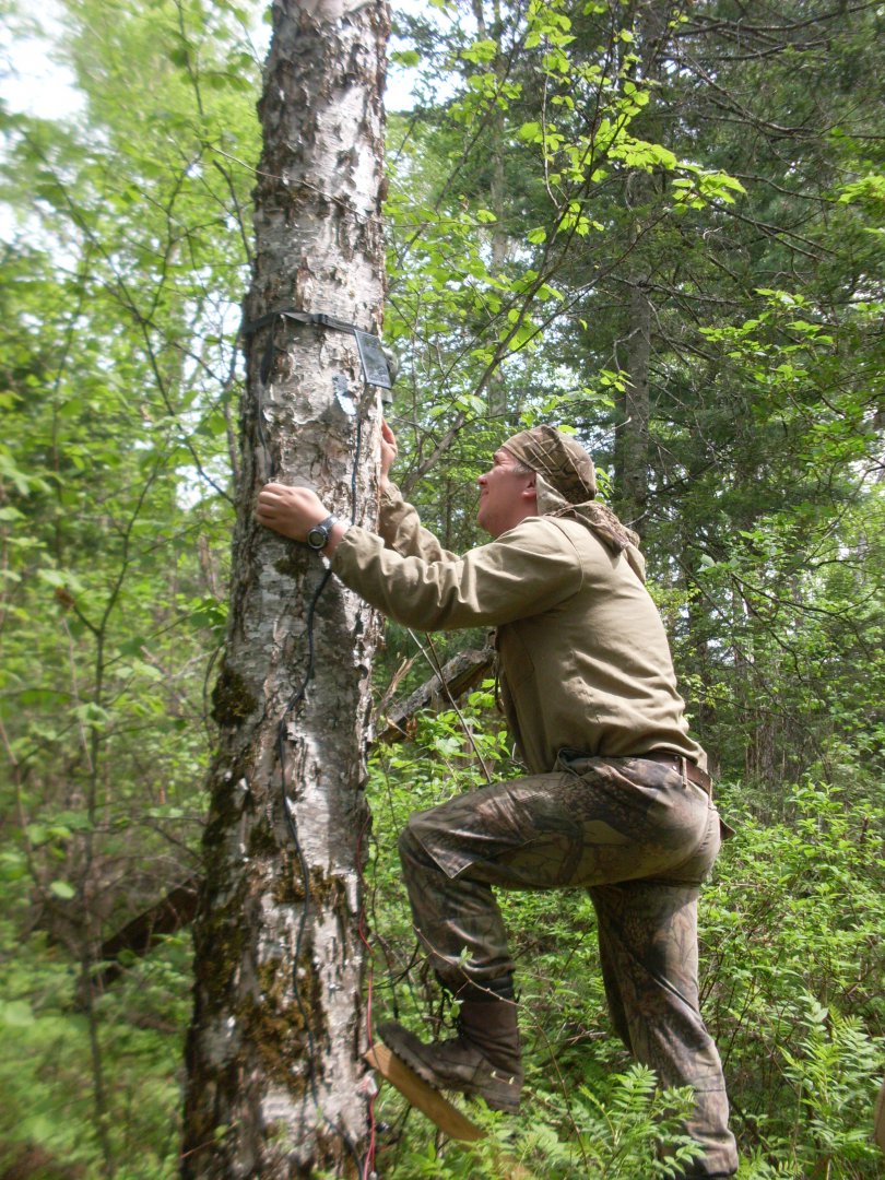 SDC11285.JPG
