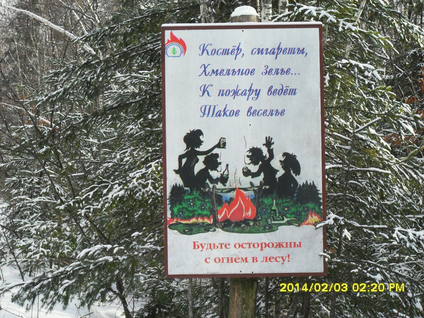 SDC11880.JPG