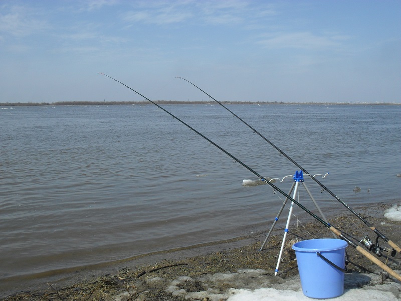 SDC13027.JPG