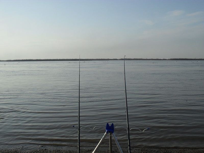 SDC13037.JPG