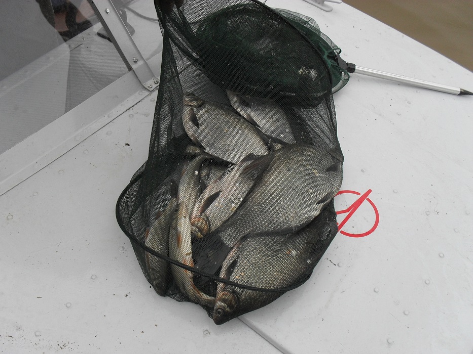 SDC13047.JPG