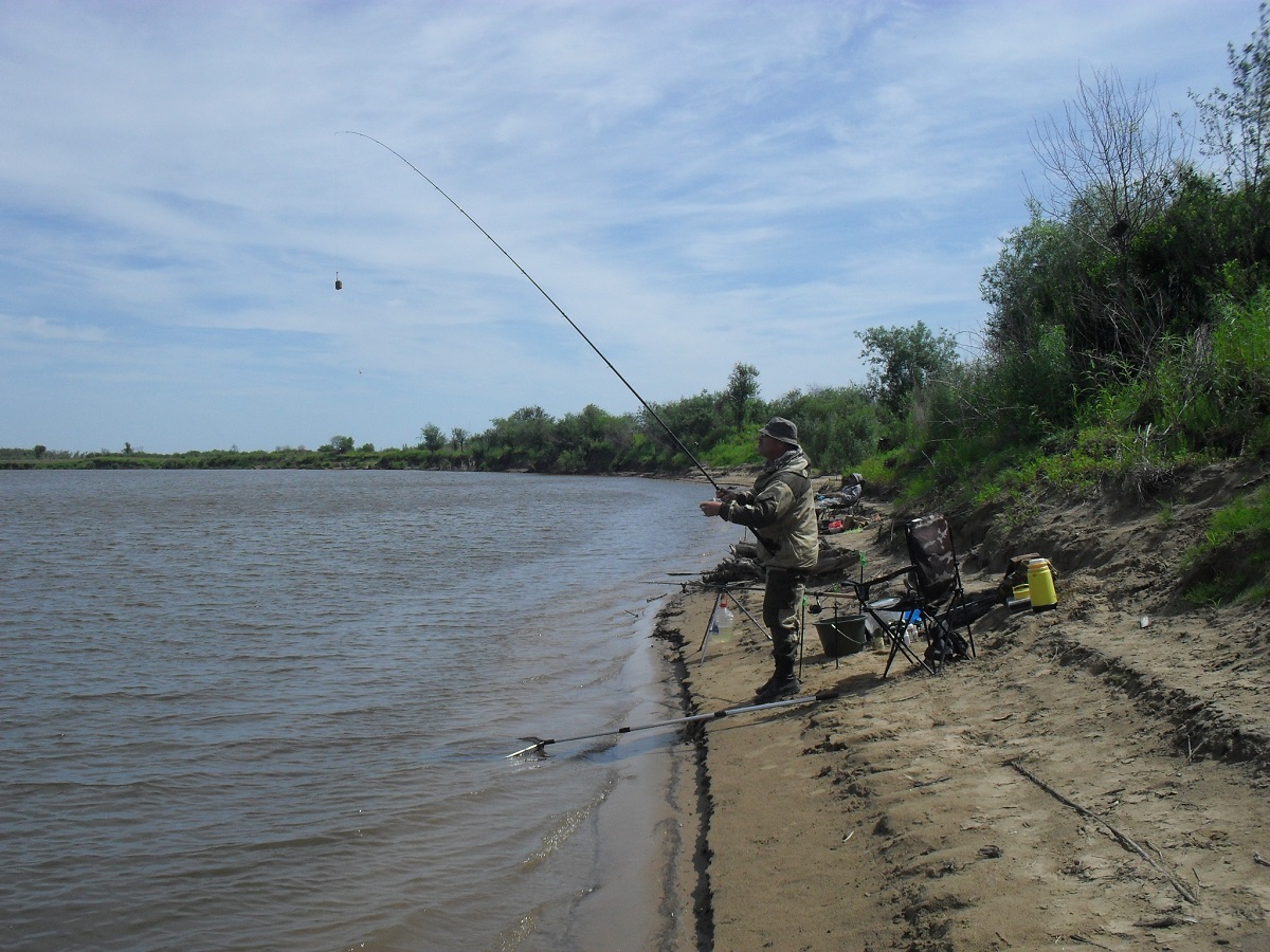 SDC13081.JPG