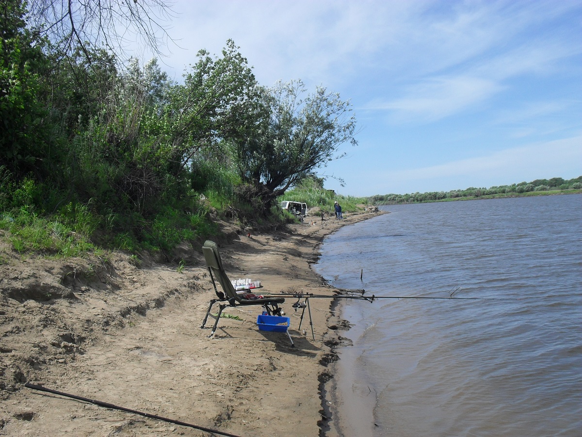 SDC13082.JPG