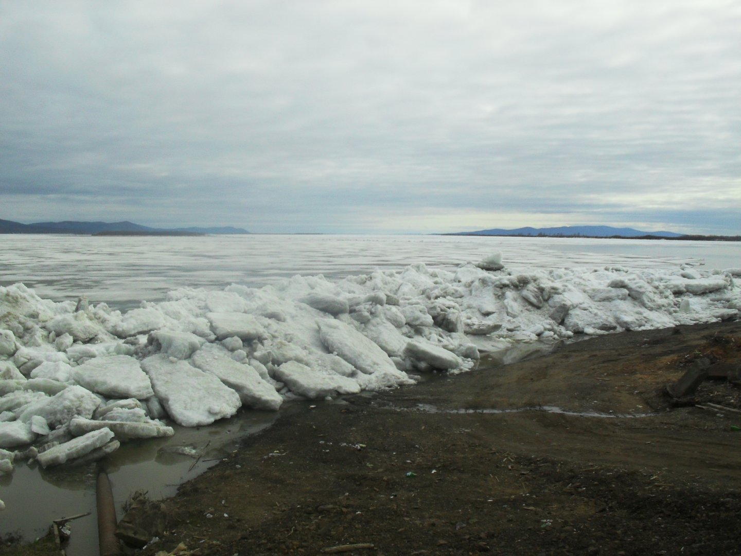 SDC13131.JPG