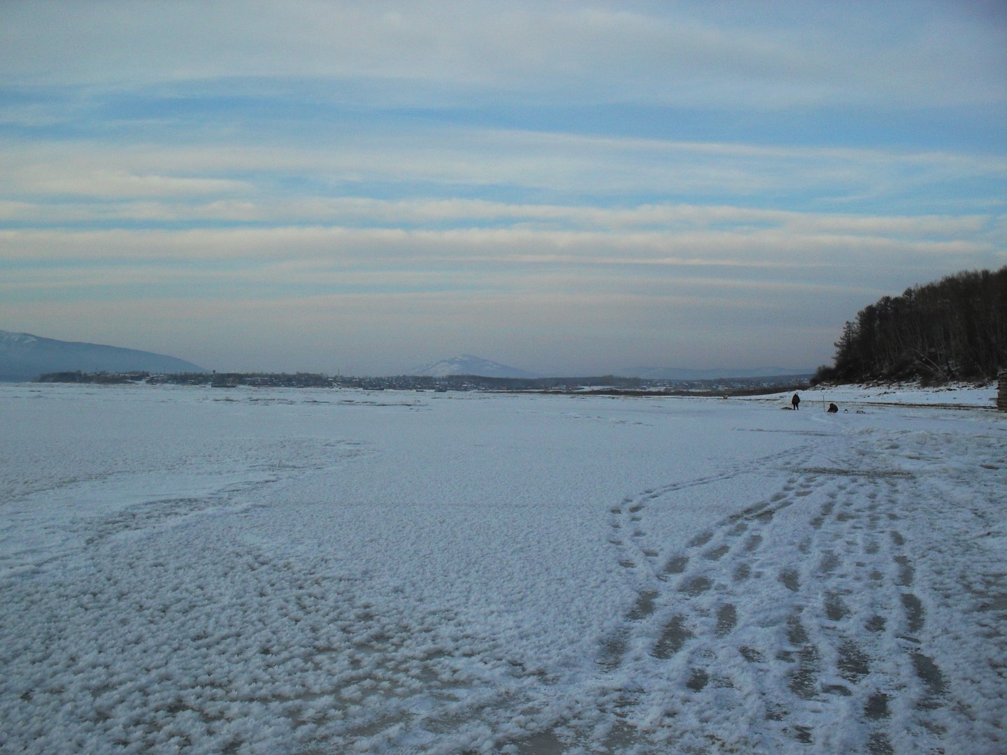 SDC13363.JPG