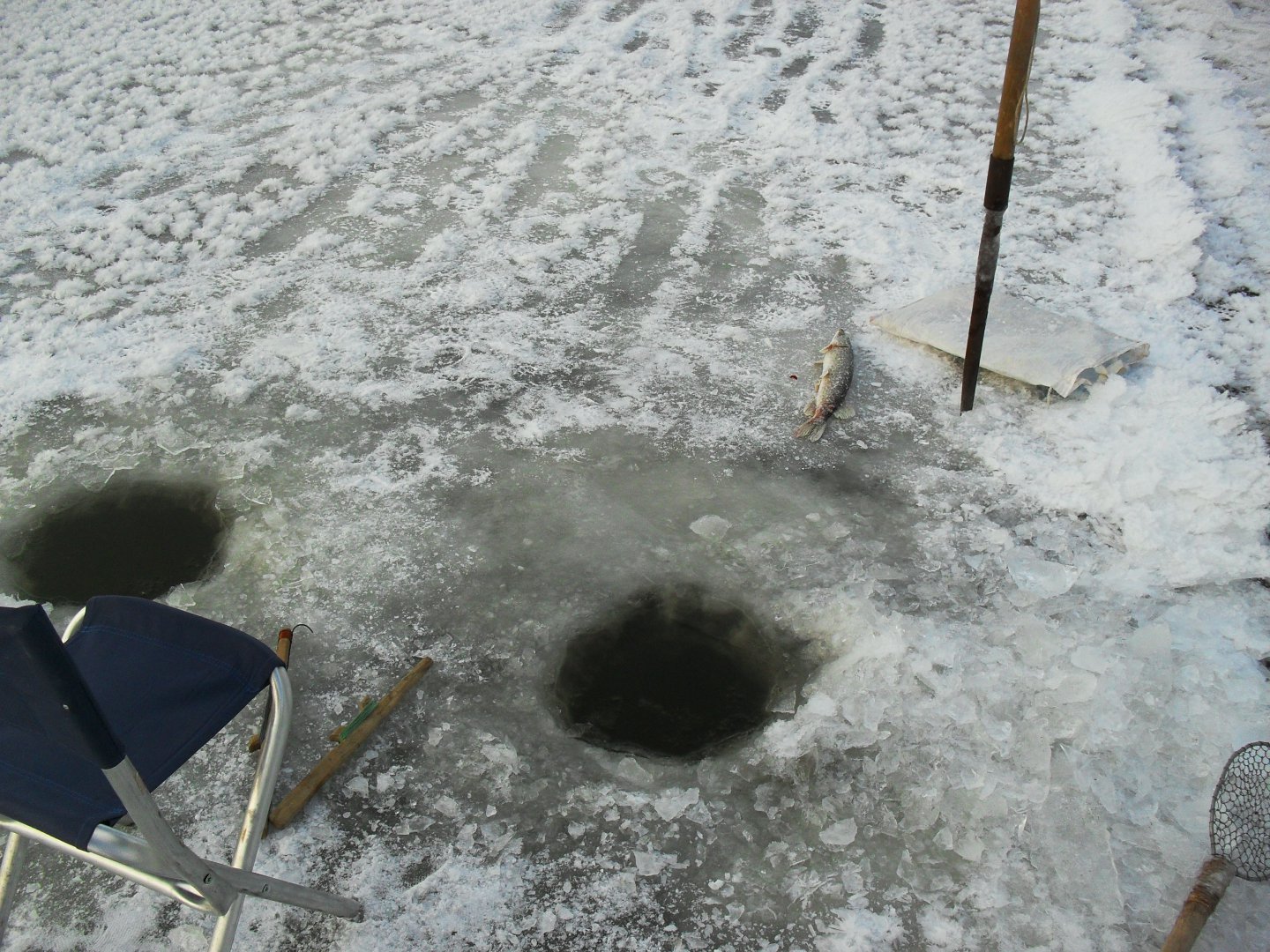 SDC13366.JPG