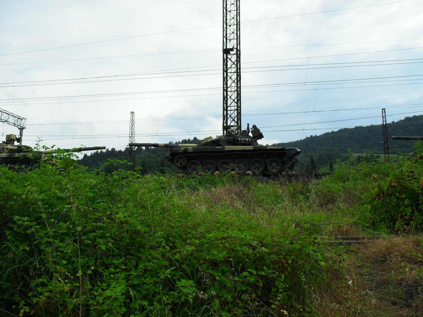 SDC13426.JPG