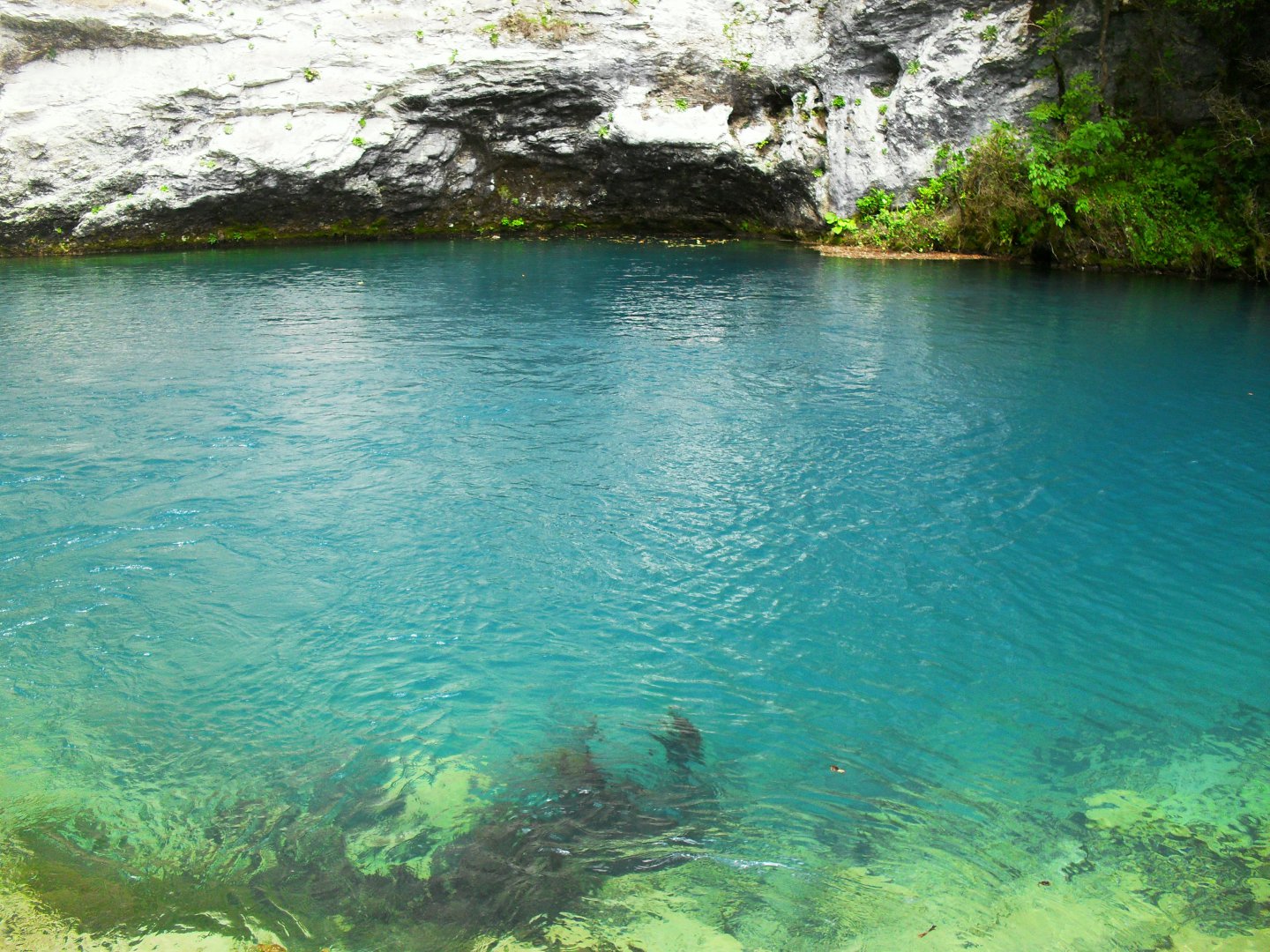SDC13476.JPG