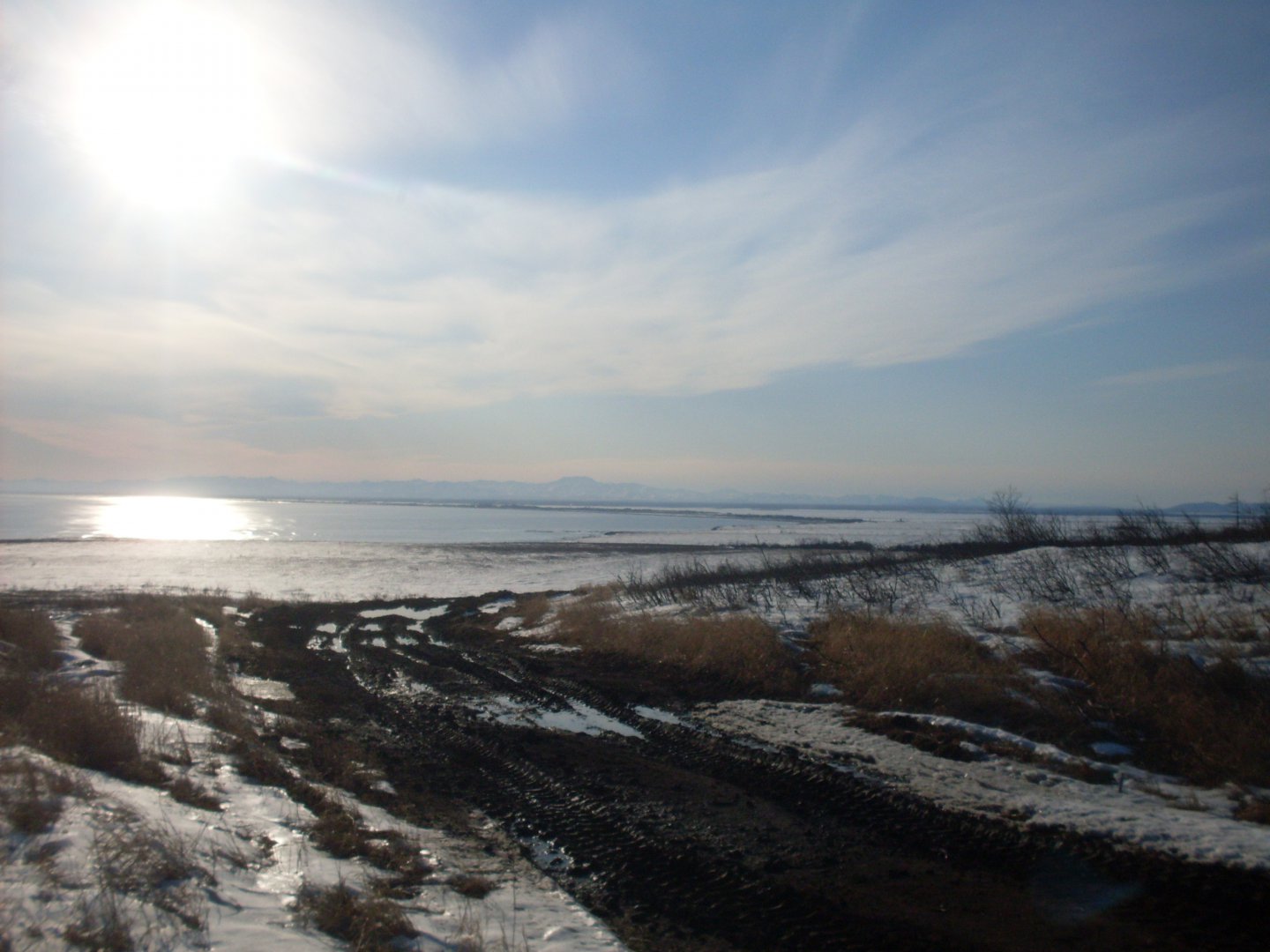 SDC17974.JPG