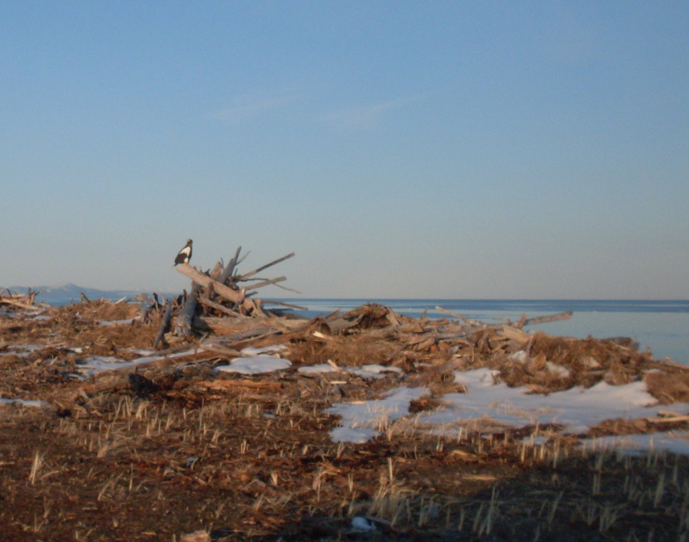 SDC179811.JPG