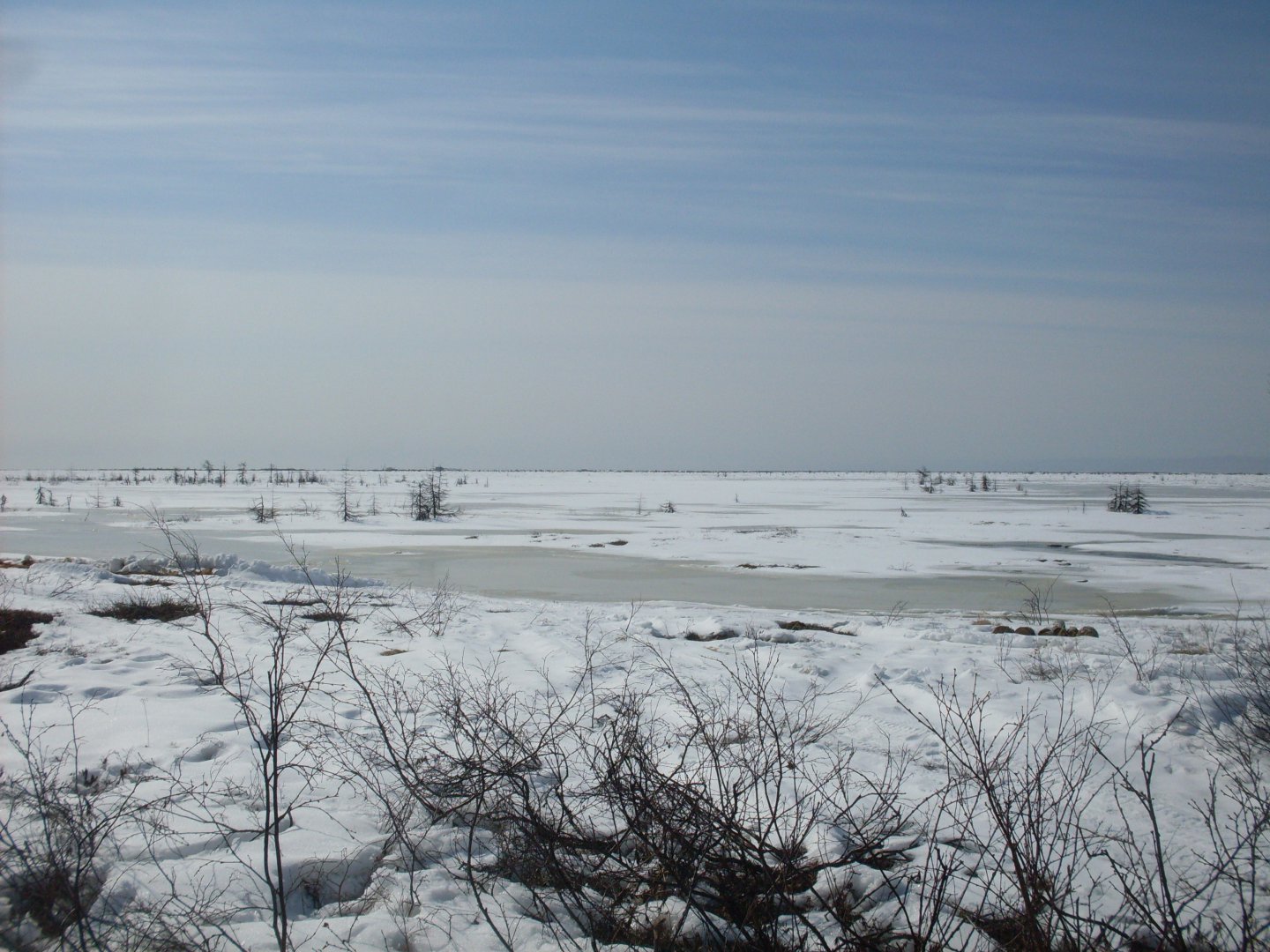 SDC18005.JPG