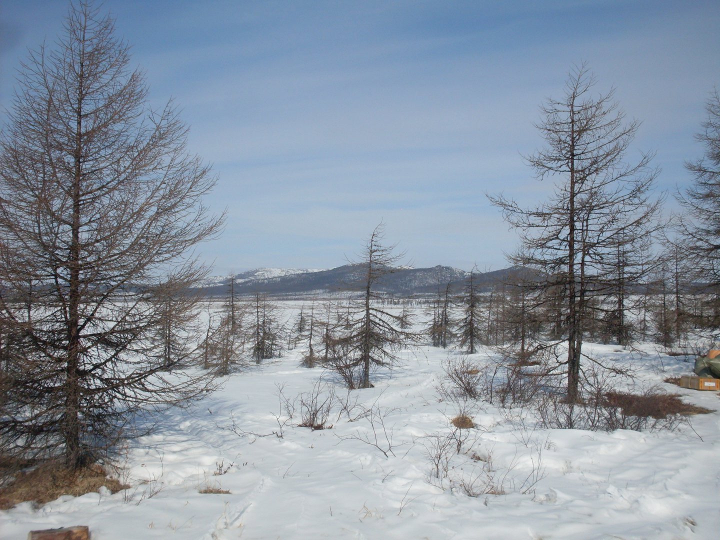 SDC18006.JPG