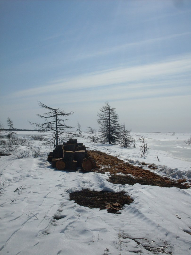 SDC18008.JPG