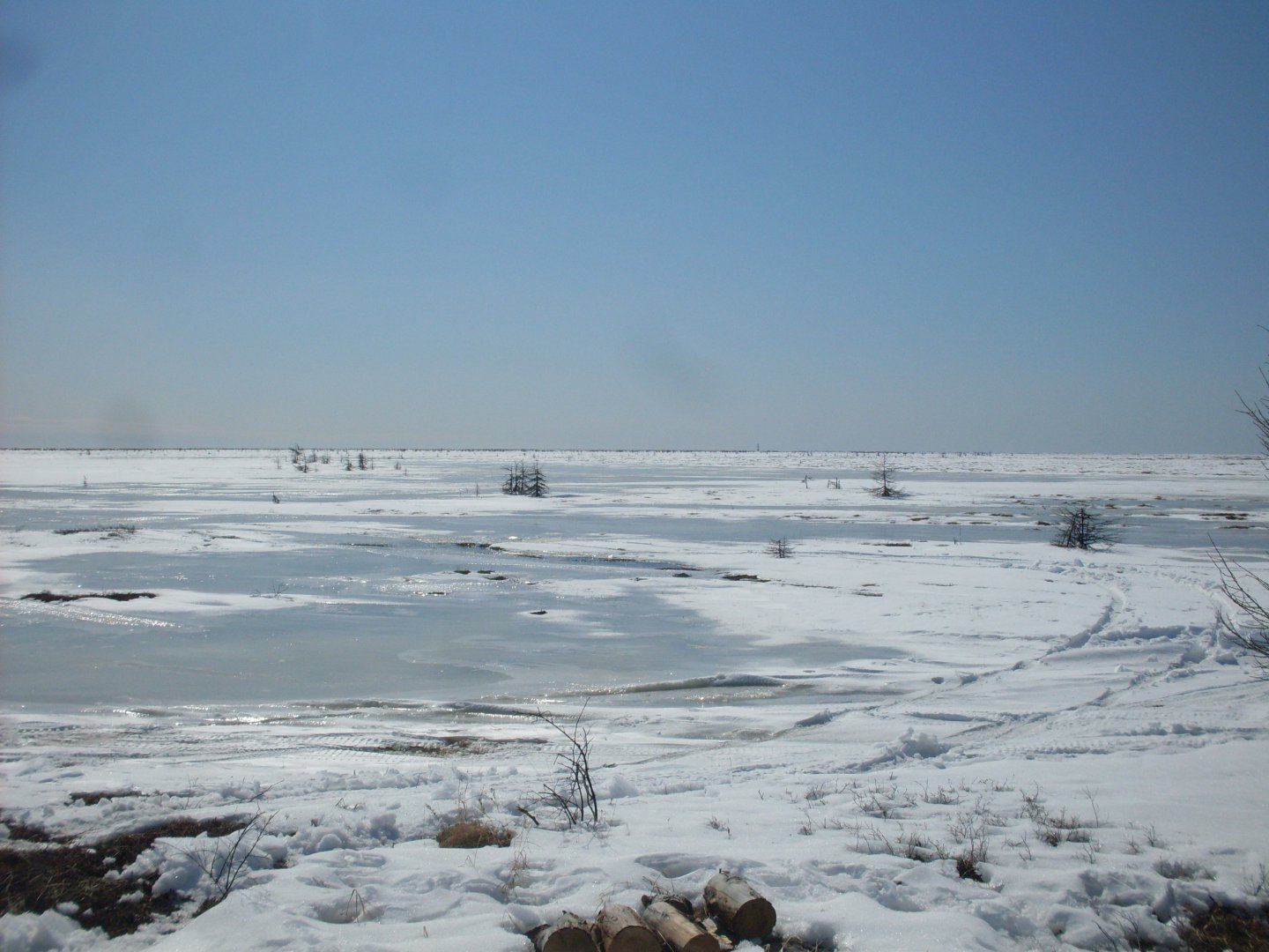 SDC18032.JPG