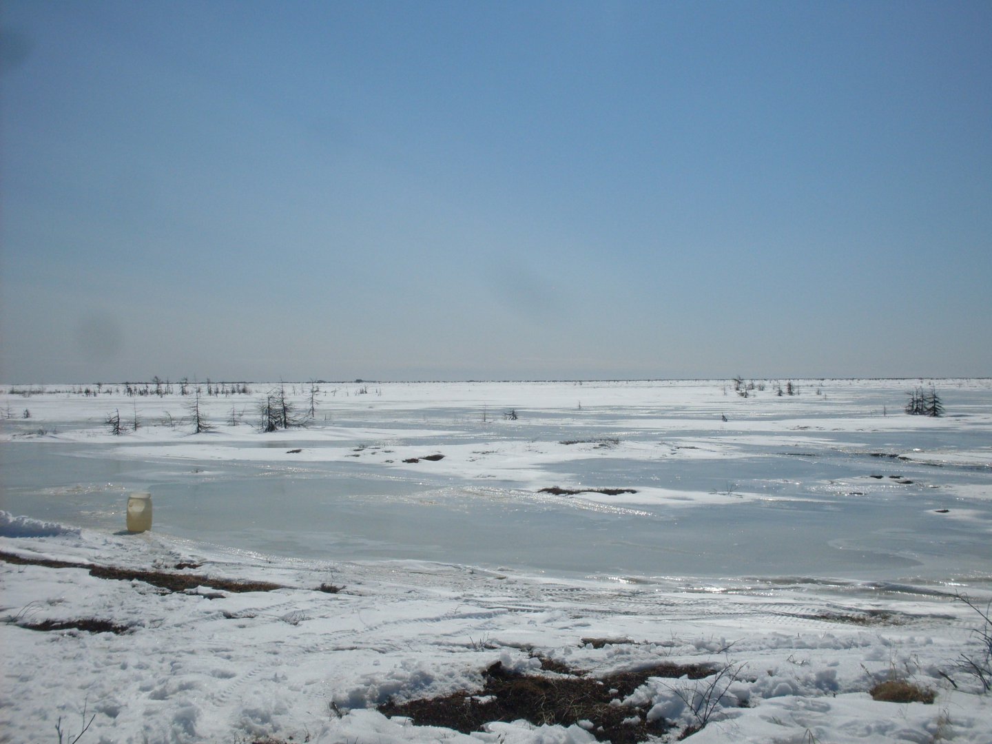 SDC18033.JPG