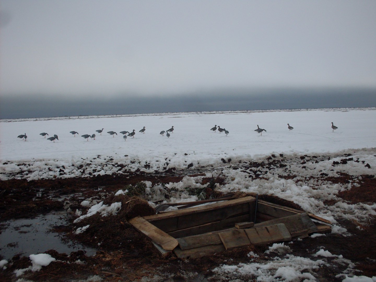SDC18077.JPG