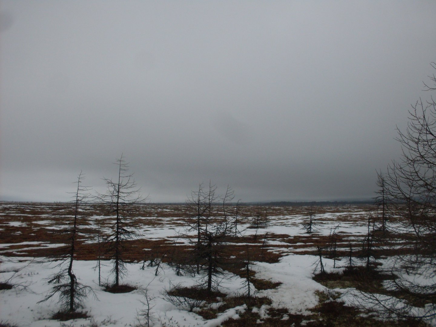 SDC18105.JPG