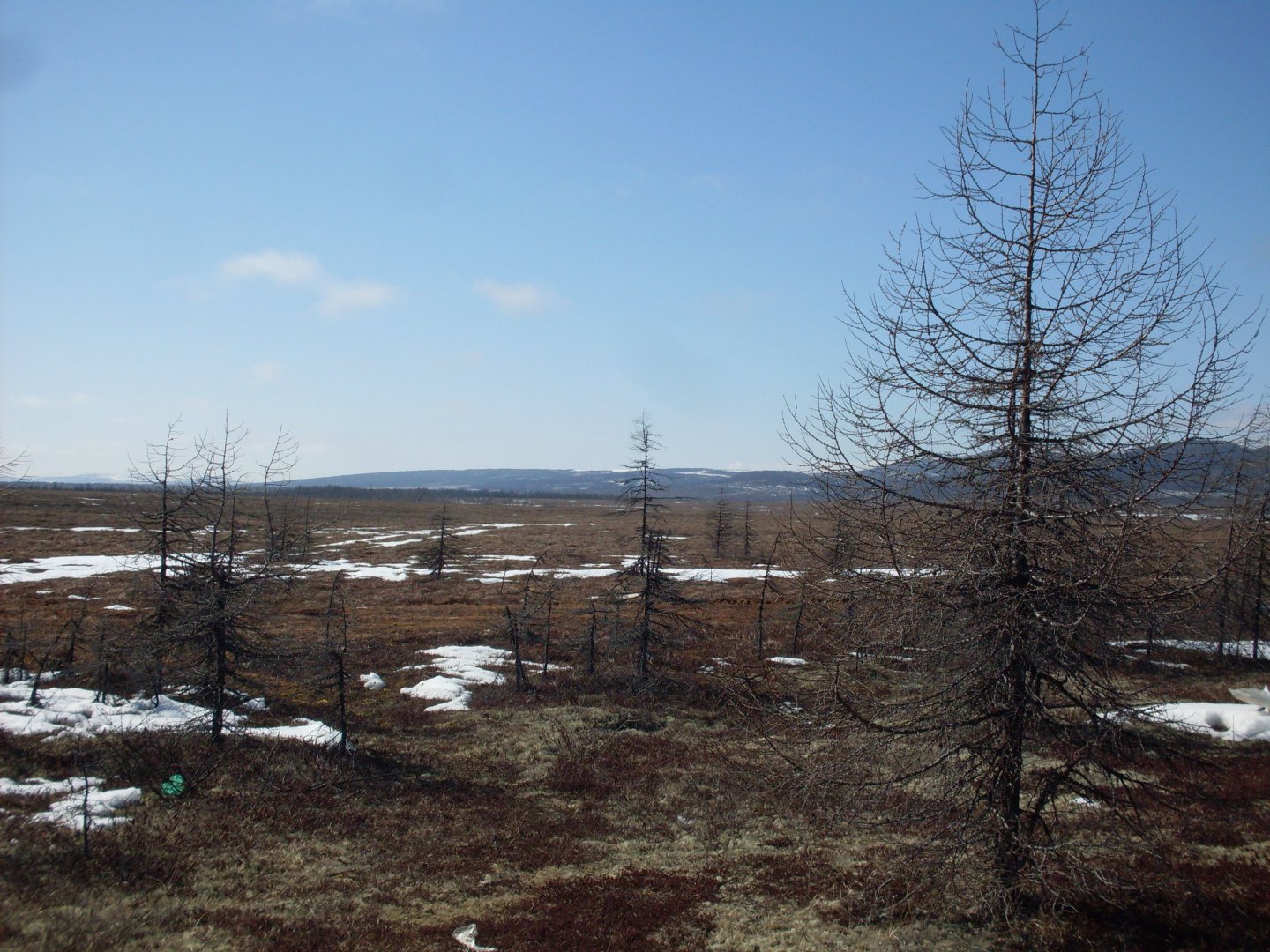 SDC18137.JPG