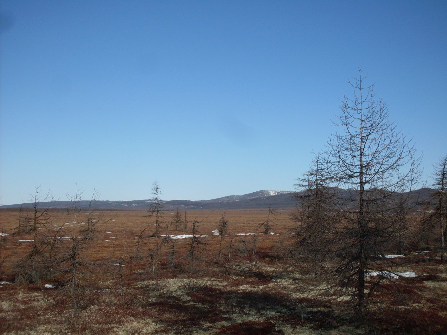 SDC18159.JPG