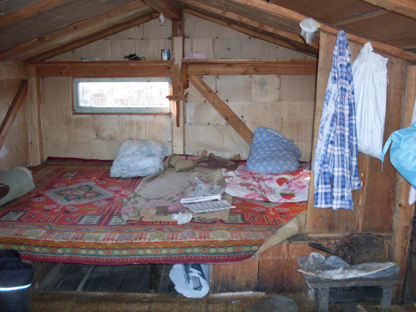 SDC18191.JPG