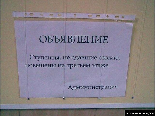 сессия.jpg