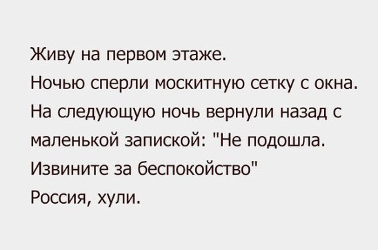 сетка.jpg