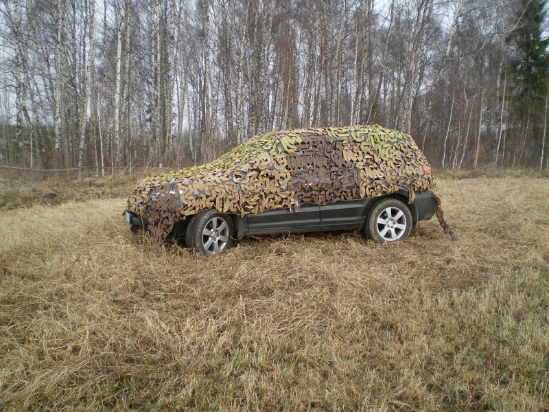 Сетка.jpg