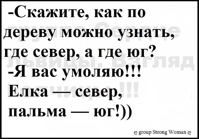 север.jpg