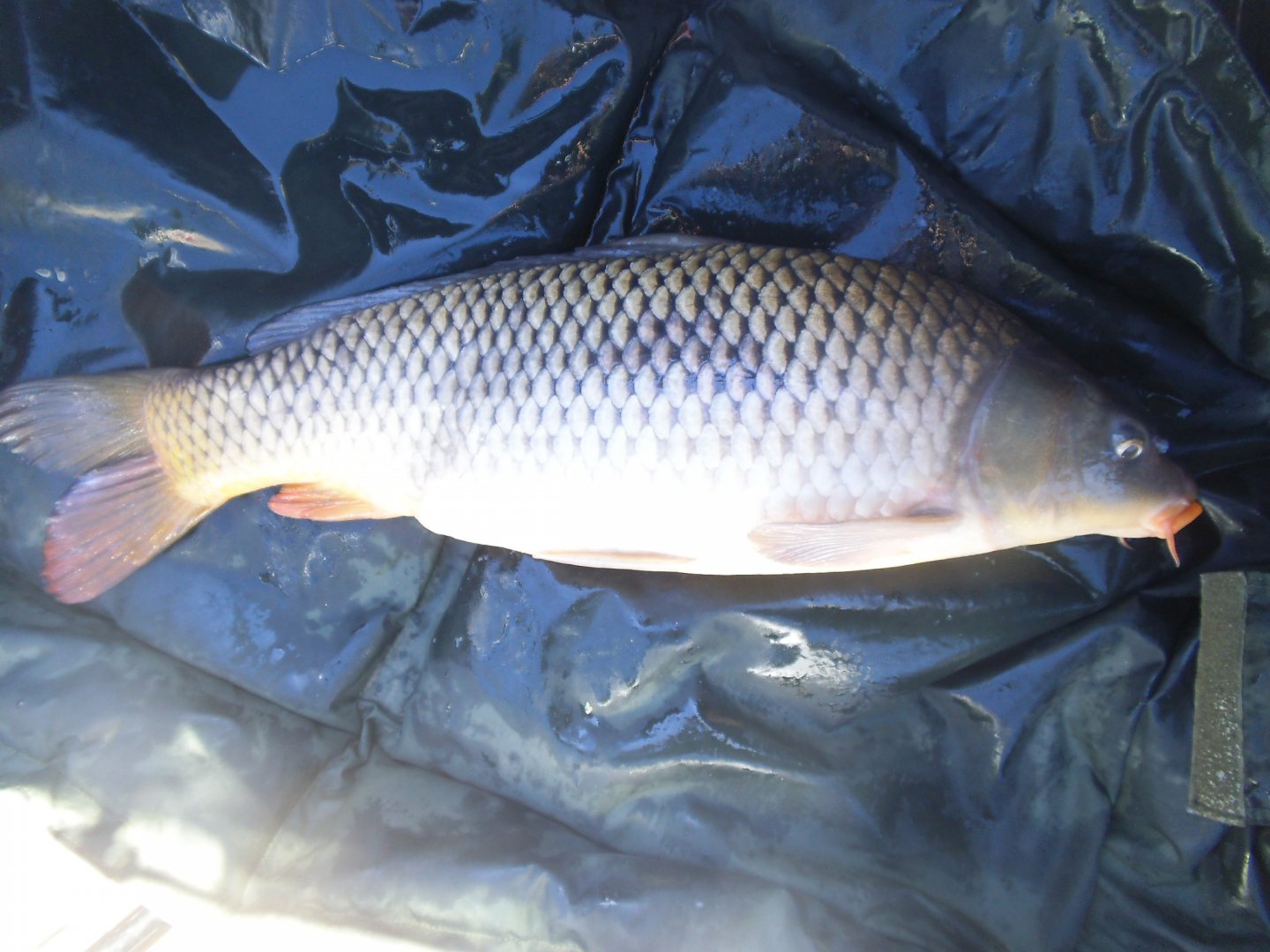 Сезон 2016 252.jpg