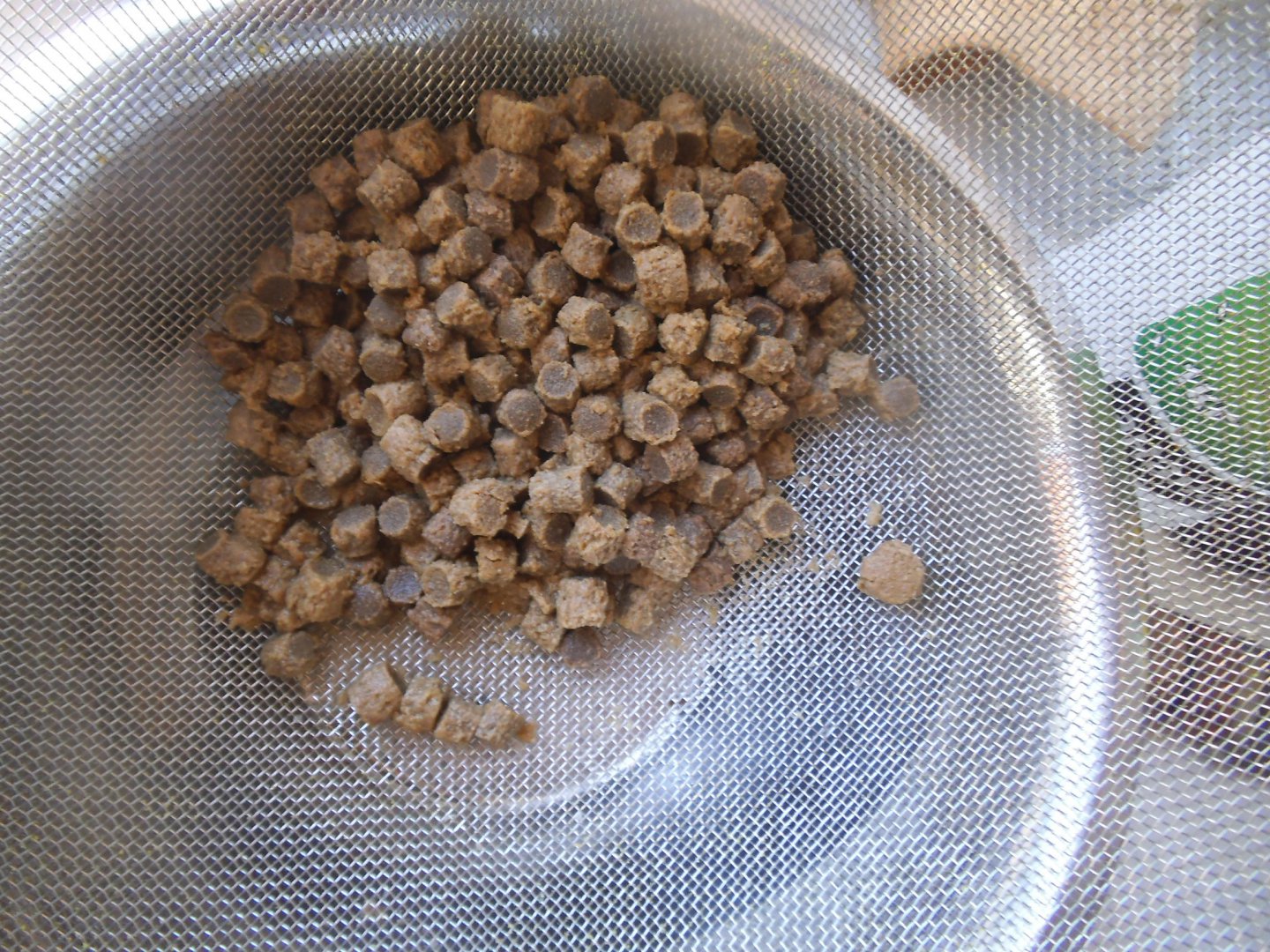 Сезон 2017 218.jpg