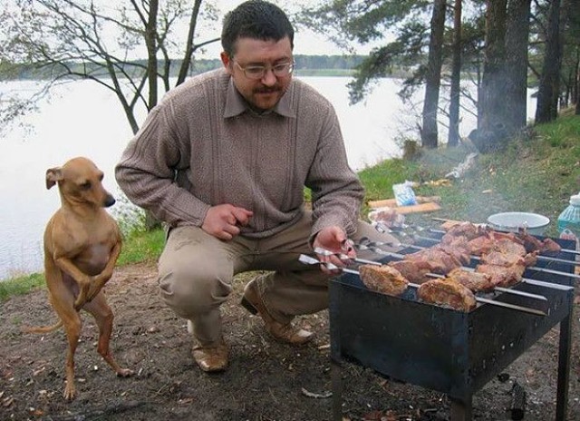Шашлык01.jpg