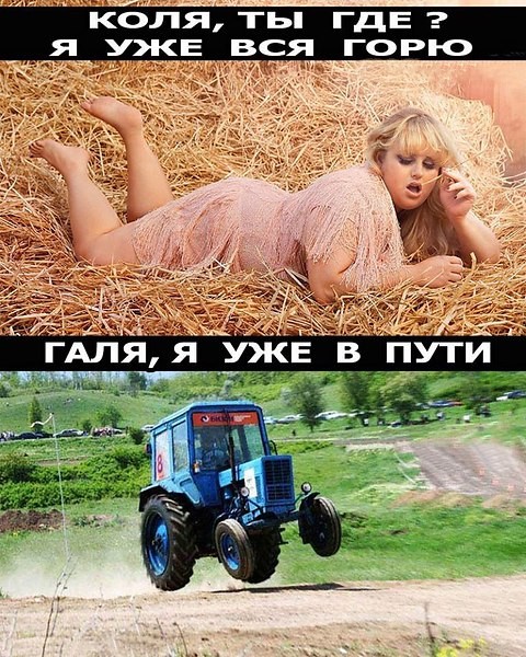шдл.jpg