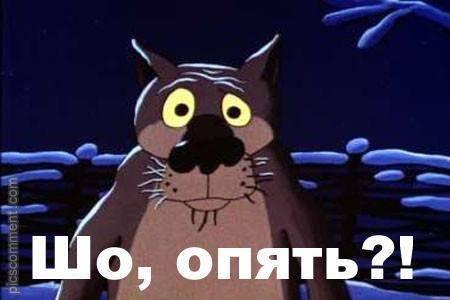 шо.jpg