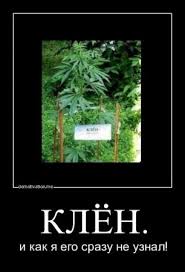 скачанные файлы.jpg