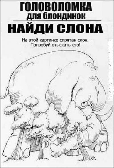 слон.jpg