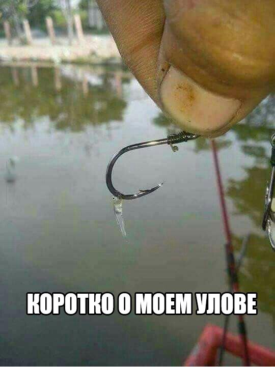Смешные-картинки-с-надписями-до-слез-смотреть-бесплатно-онлайн-7.jpg