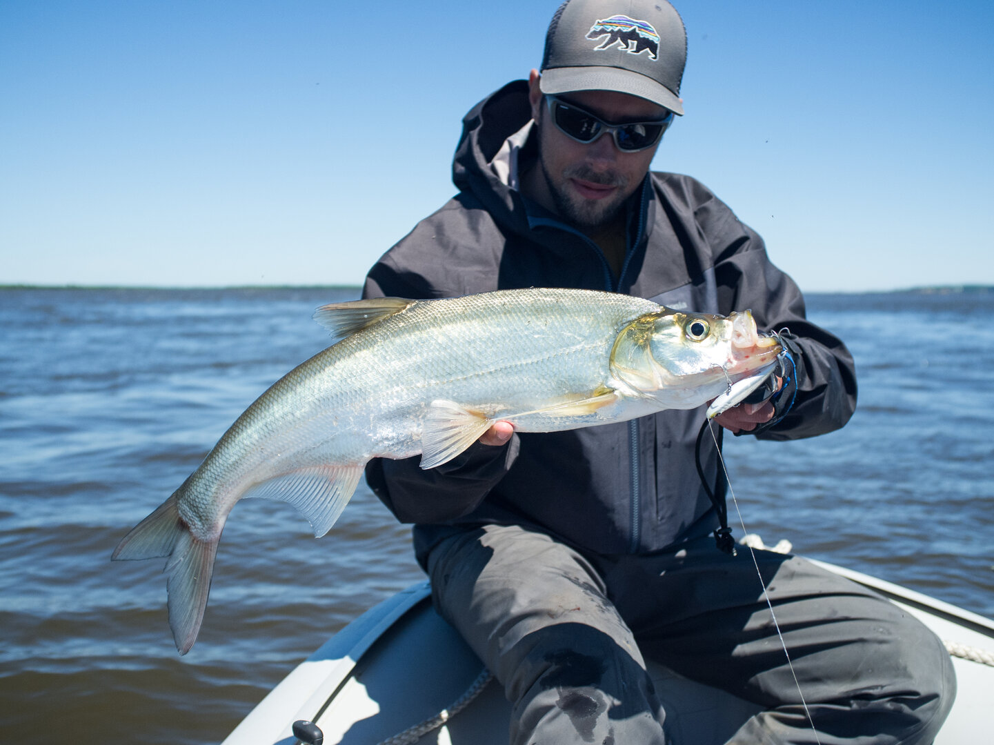 SMITH Bay Blue — ловец верхоглядов 4.jpg