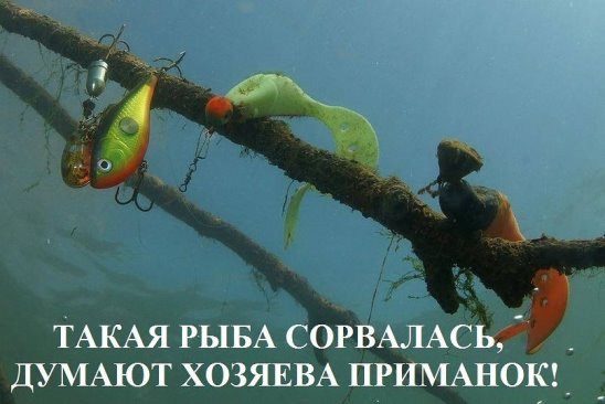 смм.jpg