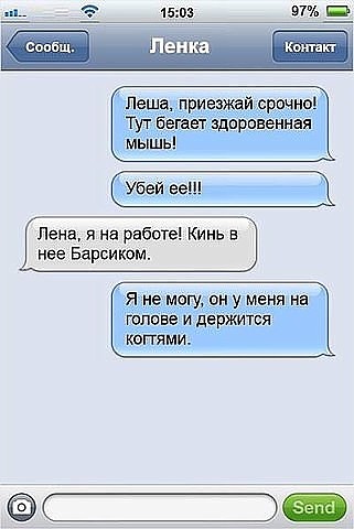 смс.jpg