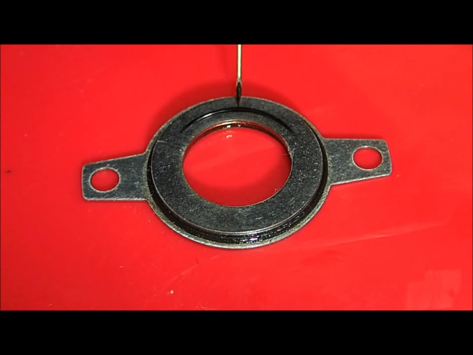 snapshot.jpg