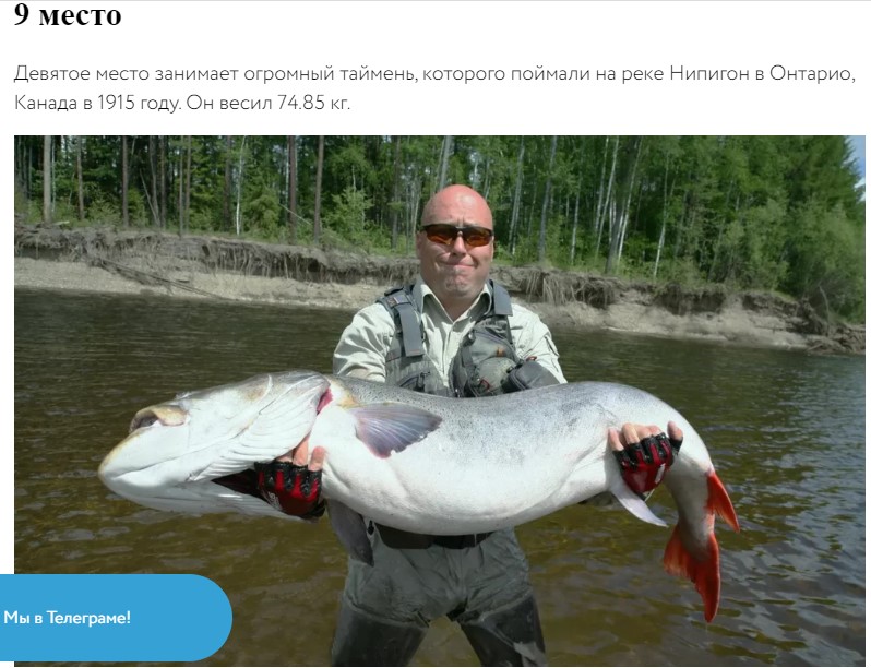Снимок экрана 2023-07-14 213224.jpg