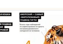 Снимок экрана 2025-01-24 203720.jpg