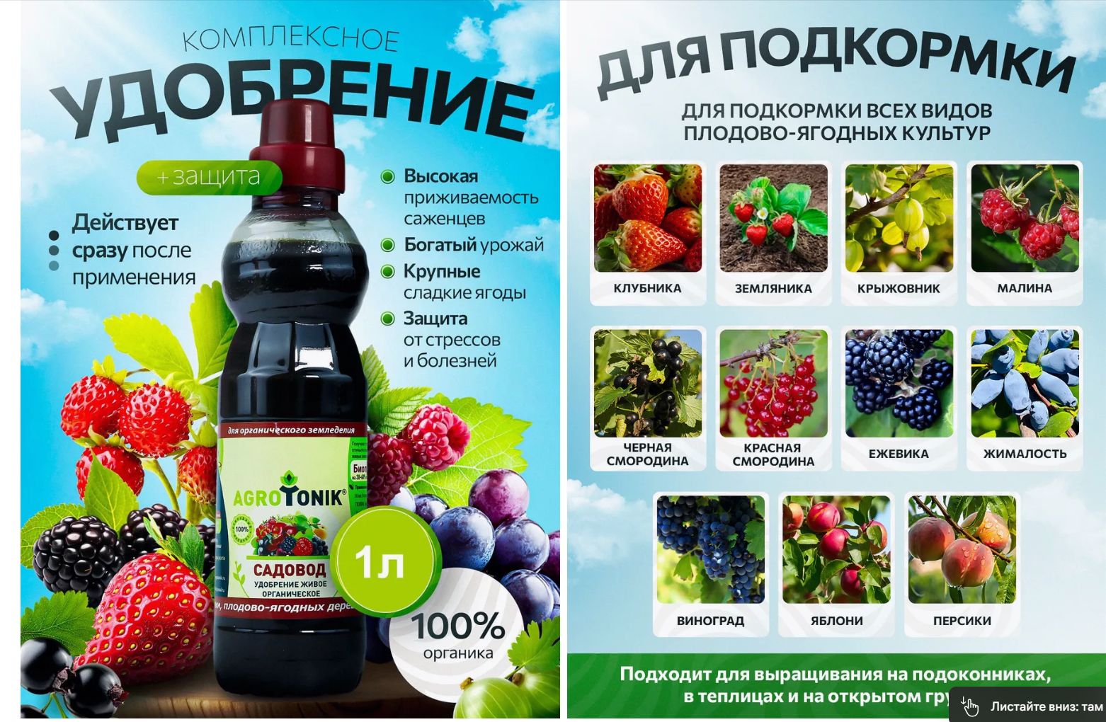 Снимок экрана 2025-06-04 081820.png