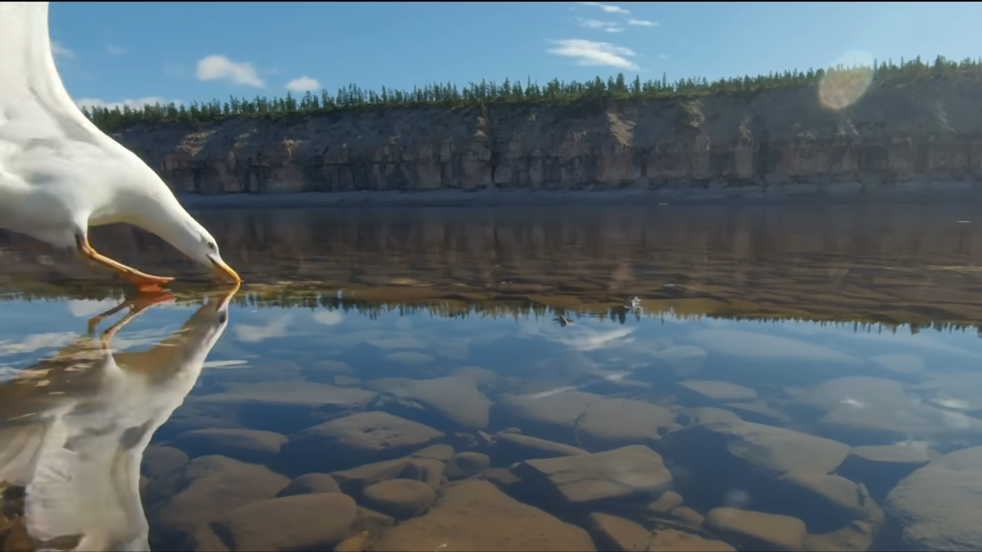 Снимок экрана 2025-10-29 235626.png