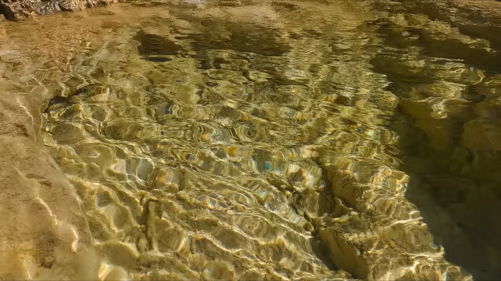 Снимок экрана 2025-11-22 234252.png