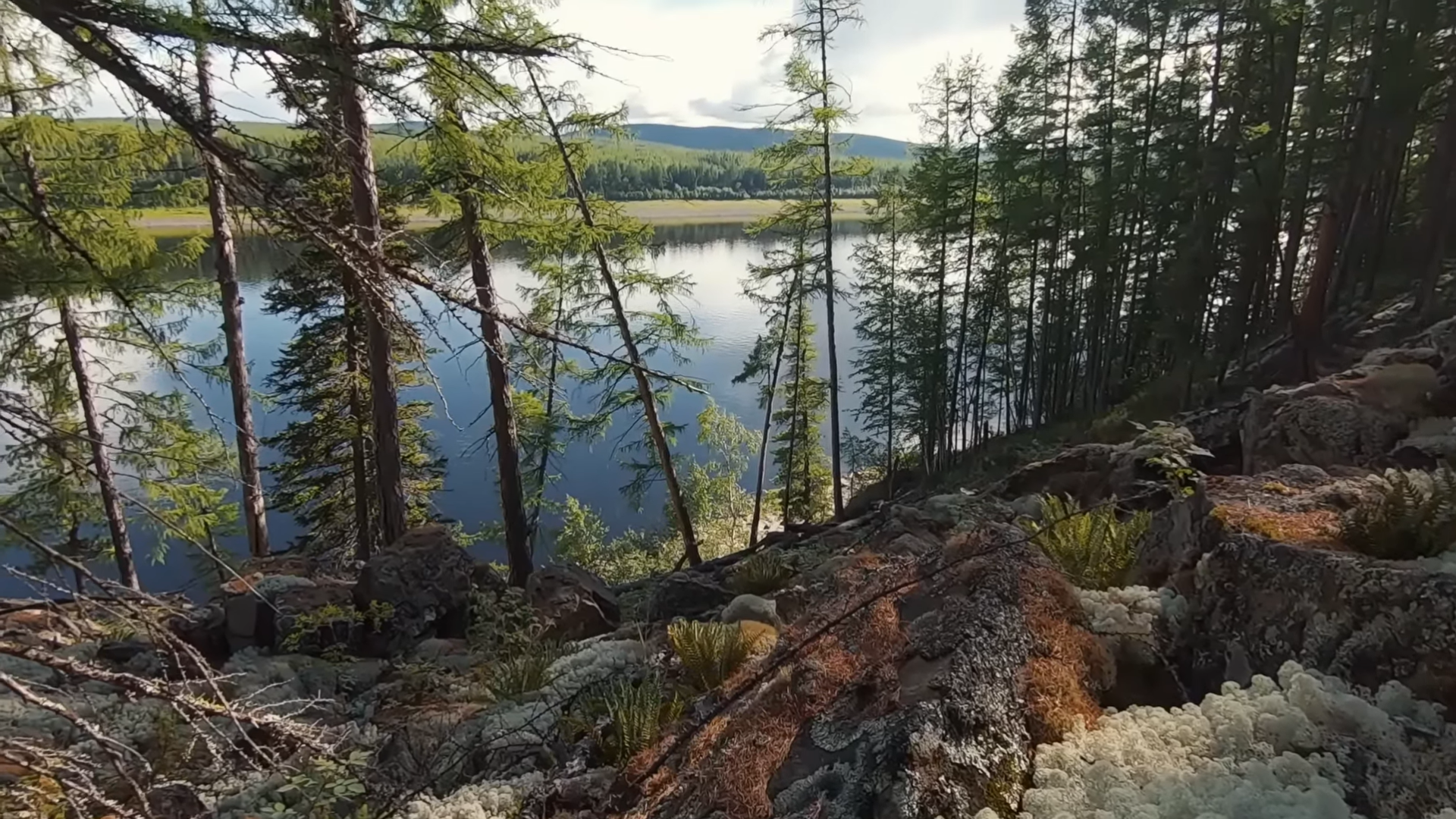 Снимок экрана 2025-11-23 215559.png